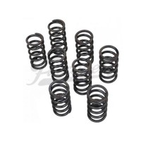 Resortes válvulas duros simples EMPI