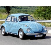 Kit burletes Fusca alemán 65-71 moldura