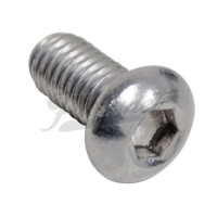 Kit 34 Tornillos de motor inoxidable allen