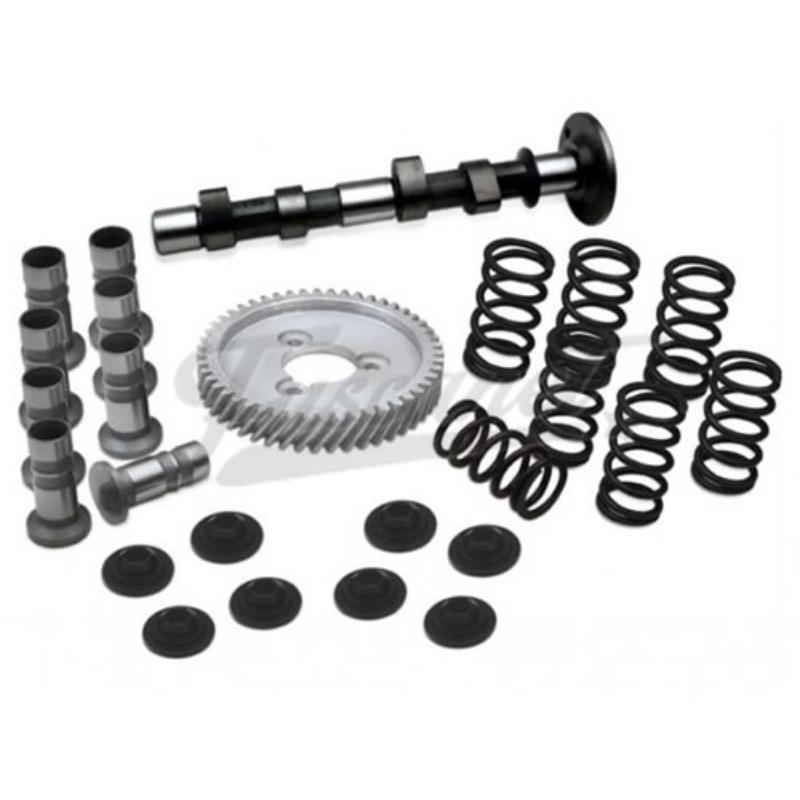 Kit potencia motor Scat C-25 con resorte simple