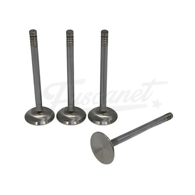 Juego Valvula inox 35.5mm SCAT